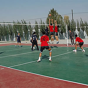 其它 Volleyball court 排球场