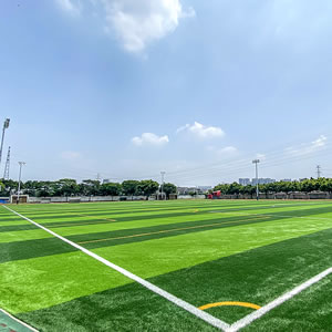 其它运动场地 Football field