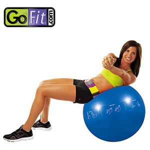 GoFit健身球 StabilityBall